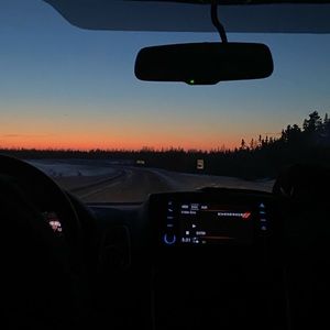 Meet your Posher, Lily